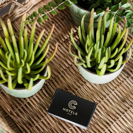 Helios By Cw Collection